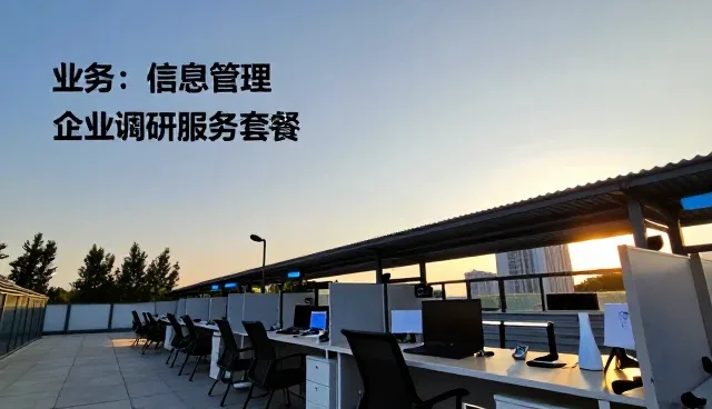 项目咨询在信息维护中的应用与维护建议